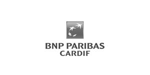 BNP Paribas Bank Logo
